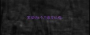 罗威纳6个月真实价格