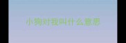 小狗对我叫什么意思