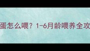 幼犬鸡蛋怎么喂1-6月龄喂养全攻略来啦