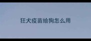 狂犬疫苗给狗怎么用