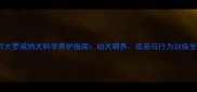 两个月大罗威纳犬科学养护指南幼犬喂养疫苗与行为训练全攻略