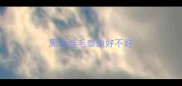 黑色卷毛泰迪好不好