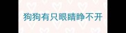 狗狗有只眼睛睁不开