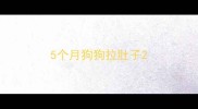 5个月狗狗拉肚子