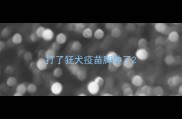 打了狂犬疫苗脚肿了