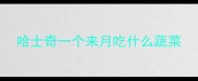 哈士奇一个来月吃什么蔬菜