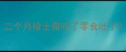 二个月哈士奇吃了零食吐了