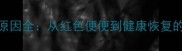 泰迪便血原因全从红色便便到健康恢复的7天指南