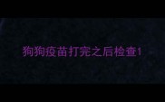 狗狗疫苗打完之后检查