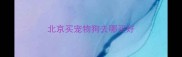 北京买宠物狗去哪买好