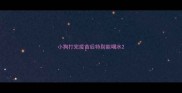 小狗打完疫苗后特别能喝水