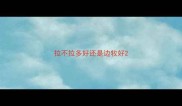 拉不拉多好还是边牧好