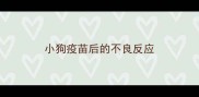 小狗疫苗后的不良反应