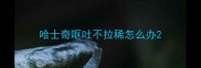 哈士奇呕吐不拉稀怎么办