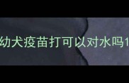 幼犬疫苗打可以对水吗