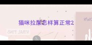 猫咪拉屎怎样算正常