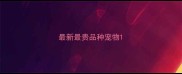 最新最贵品种宠物