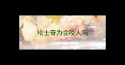 哈士奇为会咬人吗