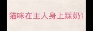 猫咪在主人身上踩奶