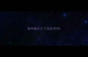 猫咪睡觉爪子温度很高