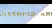 新手必看拉布拉多养狗全攻略如何科学养宠不踩坑