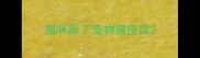 猫咪舔了宠物猫疫苗
