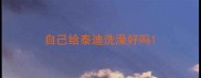 自己给泰迪洗澡好吗