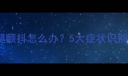 猫咪耳炎导致前腿颤抖怎么办5大症状识别与专业护理指南