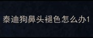 泰迪狗鼻头褪色怎么办