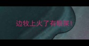 边牧上火了有眼屎