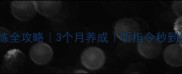 哈士奇服从性训练全攻略3个月养成听指令秒到位的聪明二哈