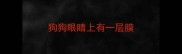 狗狗眼睛上有一层膜