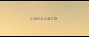 小猫咪怎么看公母