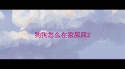 狗狗怎么在家尿尿