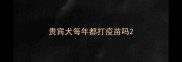 贵宾犬每年都打疫苗吗