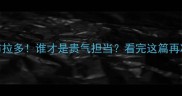 边牧VS拉布拉多谁才是贵气担当看完这篇再决定养狗