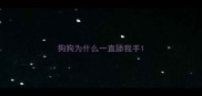 狗狗为什么一直舔我手