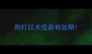 狗打狂犬疫苗有效期