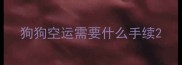 狗狗空运需要什么手续