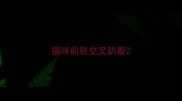 猫咪前肢交叉趴着