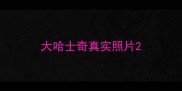 大哈士奇真实照片