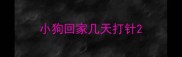 小狗回家几天打针