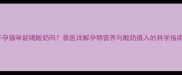 怀孕猫咪能喝酸奶吗兽医详解孕期营养与酸奶摄入的科学指南