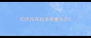 50天拉布拉多体重多少