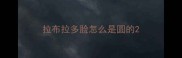 拉布拉多脸怎么是圆的