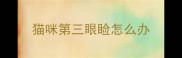 猫咪第三眼睑怎么办