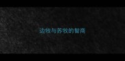 边牧与苏牧的智商
