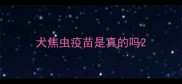 犬焦虫疫苗是真的吗