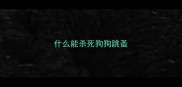 什么能杀死狗狗跳蚤