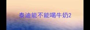 泰迪能不能喝牛奶